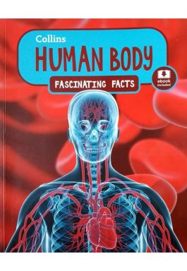 Human Body – Fascinatting Facts