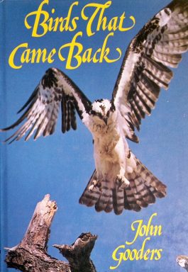 Birds That Came Back