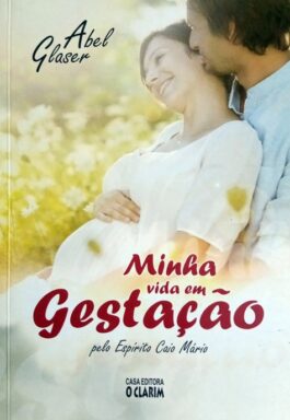 Minha Vida Em Gestação