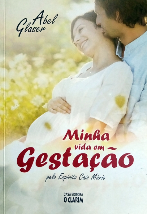 Minha Vida Em Gestação